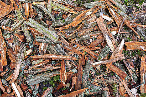 Small pieces of wood and bark cover the ground in a forest setting. The arrangement showcases varying shades of brown, providing a natural aesthetic. Sunlight filters through the trees above.