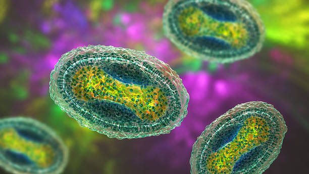 istock Molluscum contagiosum virus, illustration 2229048394