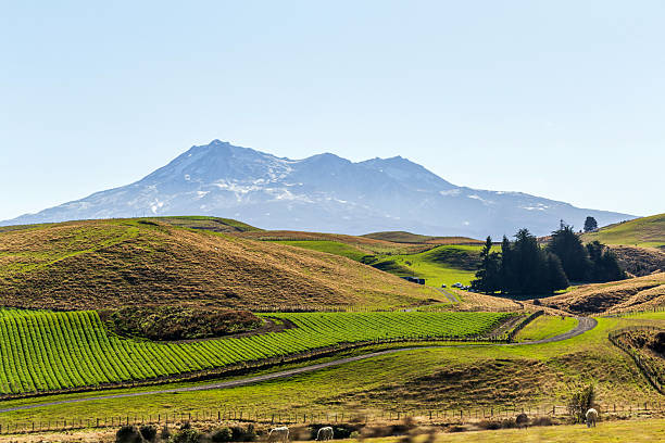 istock Rolling Farmland with Mount Ruapehu in Background 2229048624
