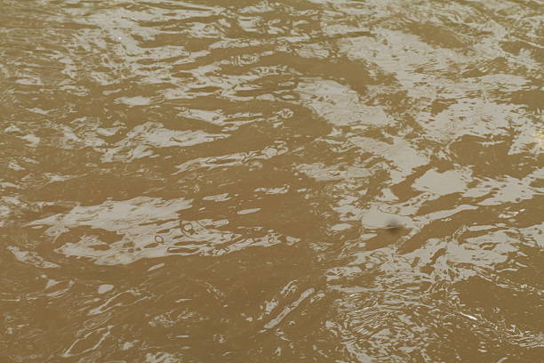 image of flowing river water