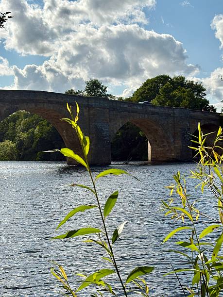 Scenic river landscape framed by lush greenery with a stone bridge in the background under a bright blue sky with fluffy clouds. Peaceful summer nature scene perfect for travel or relaxation themes.