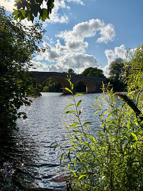 istock Scenic river landscape framed by lush greenery with a stone bridge in the background under a bright blue sky with fluffy clouds. Peaceful summer nature scene perfect for travel or relaxation themes. 2229051789