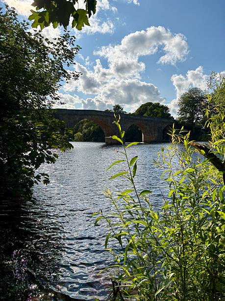 istock Scenic river landscape framed by lush greenery with a stone bridge in the background under a bright blue sky with fluffy clouds. Peaceful summer nature scene perfect for travel or relaxation themes. 2229051798