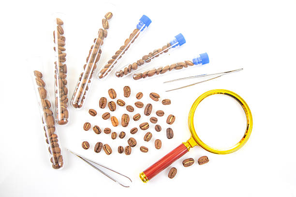 Coffee Industry Testing and Inspection – Roasted coffee beans under laboratory examination with scientific instruments, symbolizing quality control in coffee production