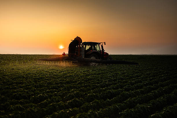 istock Tractor spraying soybean crops field 2229055776