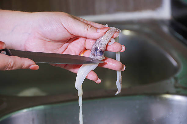 Hand Holding Squid Head and Tentacles While Cutting with Knife Over Kitchen Sink