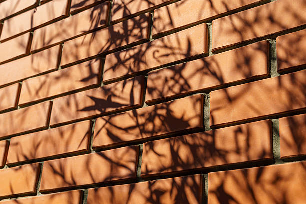 istock Sunlight casts intricate shadows of bamboo leaves onto textured brick wall, creating natural interplay of light and shadow 2229058280