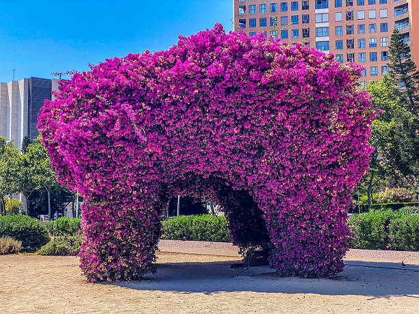 Close-up view of a gazebo like structure covered with pink flowers in the city of Valencia, Spain