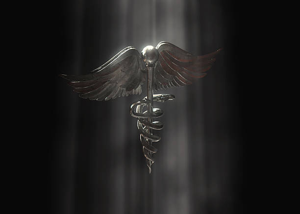 A symbol of the Hygieia Bowl in the center of a metallic shield, which are isolated on black background. 3D rendering graphics on the theme of Health Insurance.