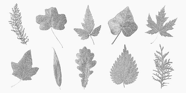 Organic leaves with rough halftone, screenprint dust and grainy paper specks, echoing DIY punk nostalgia and grunge aesthetics.