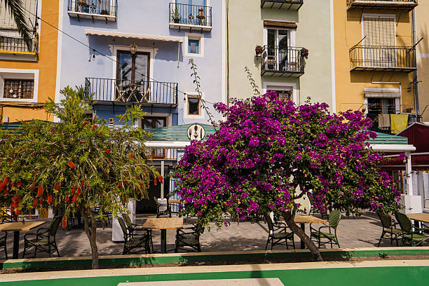 istock Beachfront Cafes VillaJoyosa 2229077307