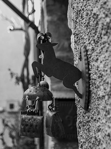 white christmas deer head on a black wooden wall