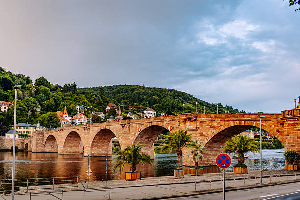 The Karl Theodor Bridge spanning the Neckar River in Heidelberg, Germany, illuminated by the soft light of dusk. Palm trees line the riverside promenade, with green hills and charming hillside houses in the background.
