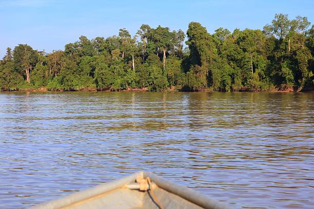 istock Kinabatangan River nature reserve in Borneo, Malaysia 2229083667