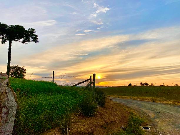 Beautiful rural landscape on a fantastic July sunset. Rural scene, with plantations creating a beautiful contrast in the landscape, lush pastures, beautiful araucaria trees, and other beauties. Photo taken in Campo Alegre, Santa Catarina, Brazil, a great destination for tourism and leisure.