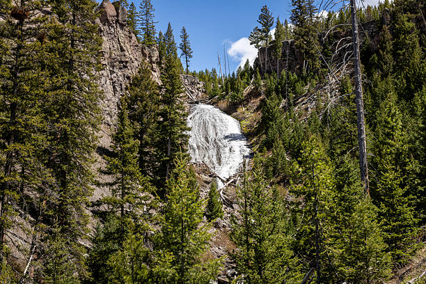 A scenic view of Wraith Falls located on Lupine Creek in Yellowstone National Park. The cascading waterfall is surrounded by a lush green forest and rocky terrain, ideal for nature exploration.