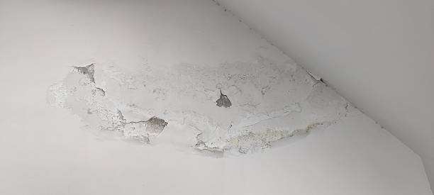 istock Close up high angle of white textured ceiling with large irregular water stain and peeling plaster damage for inspection 2229088118