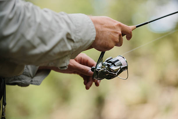 istock Fisherman reeling line on spinning reel while trout fishing 2229098951