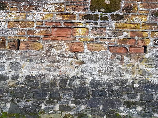 Aged Brick and Stone Wall composed of bricks and stones displays a variety of colors, from earthy reds to grays