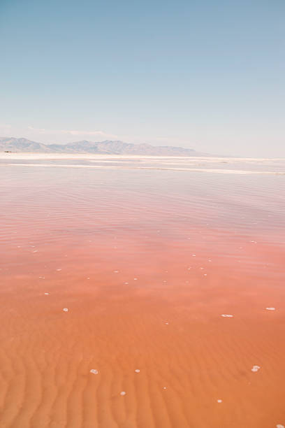 istock Great Salt Lake, Utah 2229108297