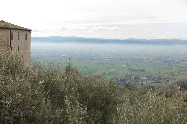 Elevated view from Assisi over olive groves and medieval rooftops toward the Umbrian plain and distant hills, Umbria, Italy.