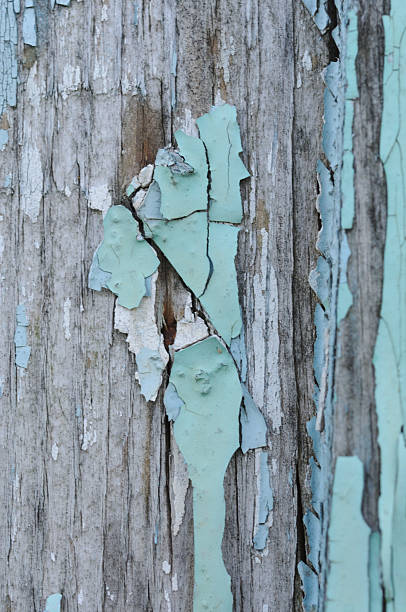 Old wood texture with peeling blue paint. Abstract background and texture for design.