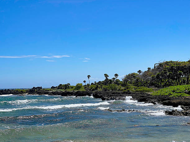 istock Rocky Shore and Waves on Utila Island, Honduras 2229110127