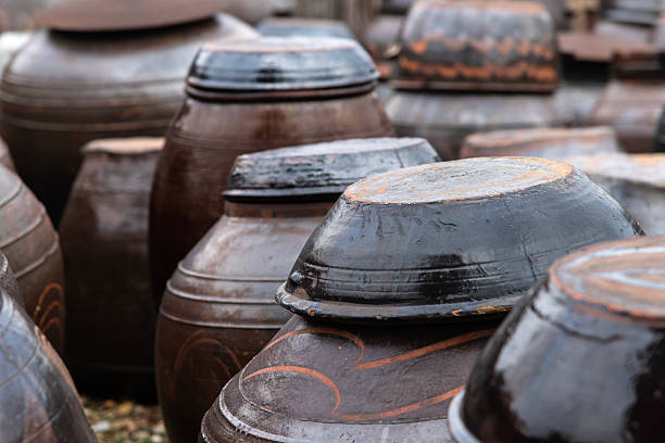 istock traditional Korean fermentation ceramic pots at the rural house 2229110995