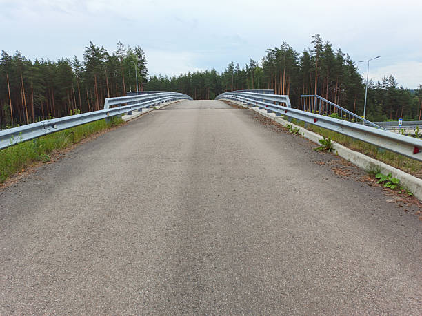 Automobile bridge over a transport highway against the background of a forest.