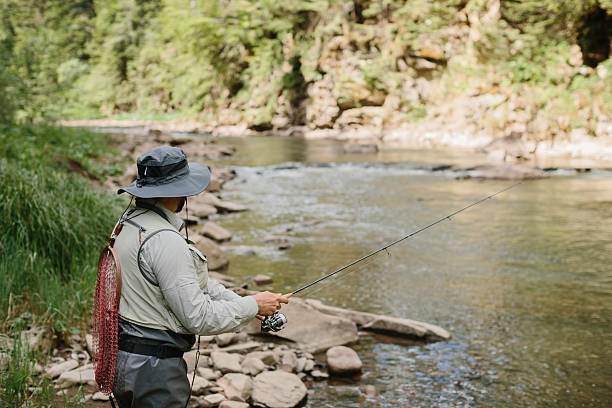 istock Fisherman catching trout in clear mountain river 2229127369