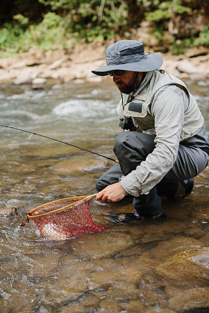 istock Fisherman catching trout with fishing net in river 2229128476