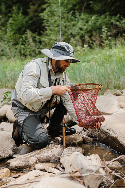 istock Fisherman releasing trout back into river after catching it 2229128500