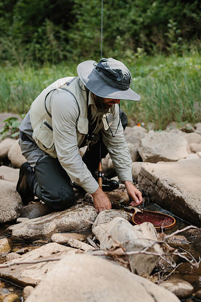 istock Fisherman releasing trout back into river after catching it 2229128502