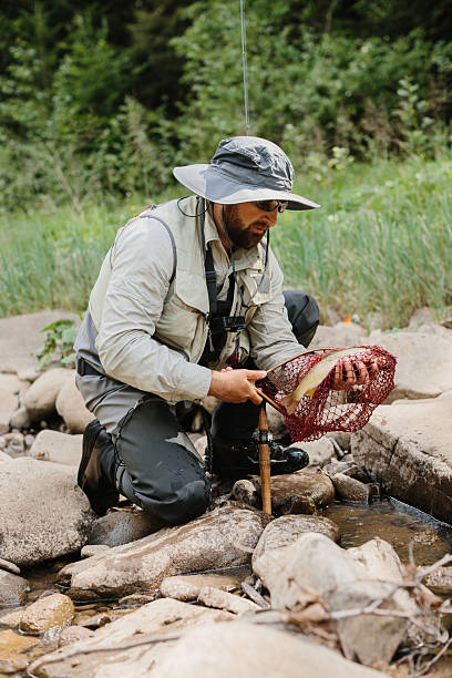 istock Fisherman kneeling and holding trout in net by river 2229128514