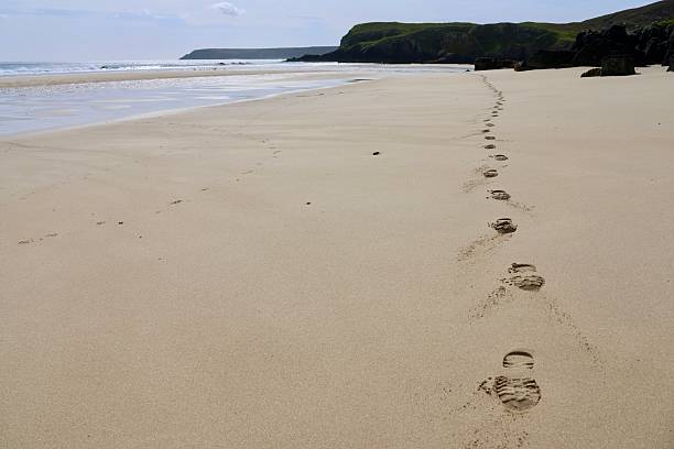 istock Beach and gneiss rock formations 2229129799
