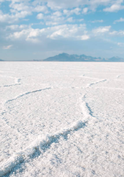 istock Salt Flats in Utah, USA 2229131224