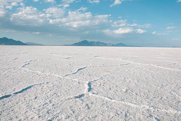 istock Salt Flats in Utah, USA 2229131263