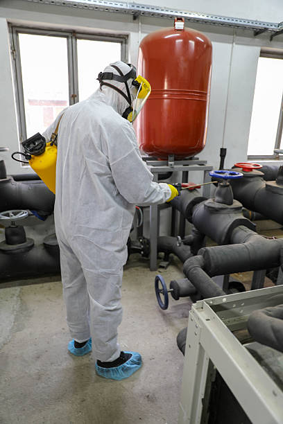 istock Senior Worker Wearing Gloves and Mask, Performing Sanitization Tasks 2229133335