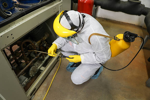 istock Elderly Man in Protective Gear, Spraying Heat Pumps for Sanitization 2229133487