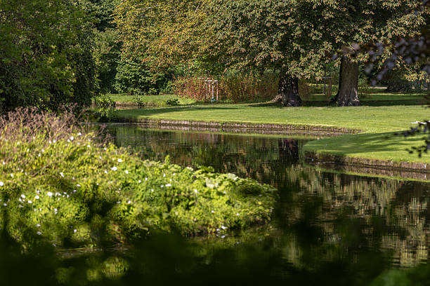 Nature scene, Public park view, trees, lake.\nCopenhagen - Denmark.