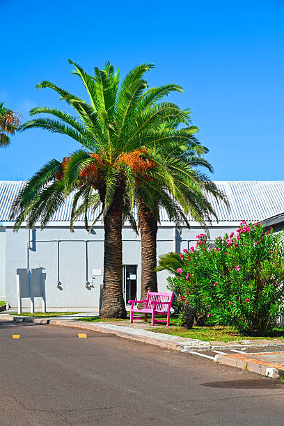 istock On the Bermuda's street 2229138164