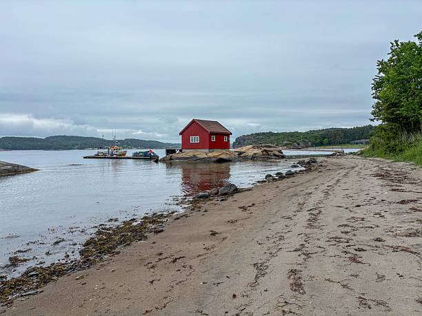 istock Serene coastal view with red cabin and lush greenery. 2229143229