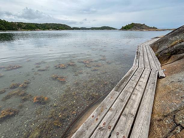 istock Serene Coastal Scene with Wooden Boardwalk 2229143241