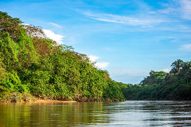 istock Scenic River View in Casanare 2229145886