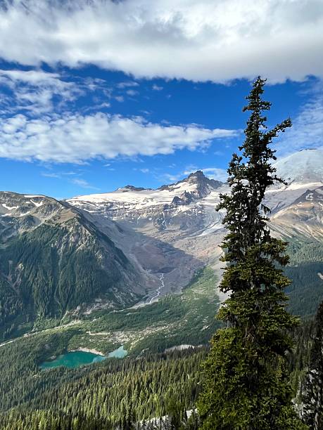 istock Mount Rainier and the White River Valley from the Burroughs Mountain Trail 2229147956