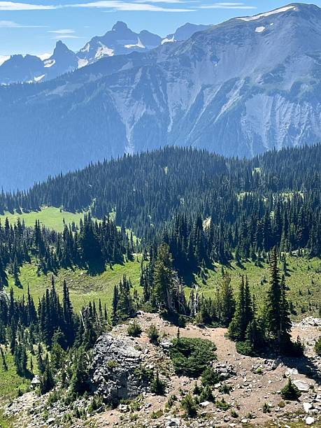 istock Green meadows of Sunrise from Sourdough Ridge 2229148142