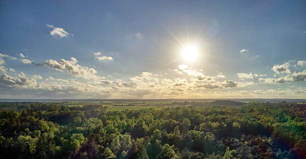 A serene countryside view featuring a vibrant forest, blue skies, and sun glowing brightly above. The scenery exudes tranquility and natural beauty, making it perfect for themes of nature and outdoor exploration.