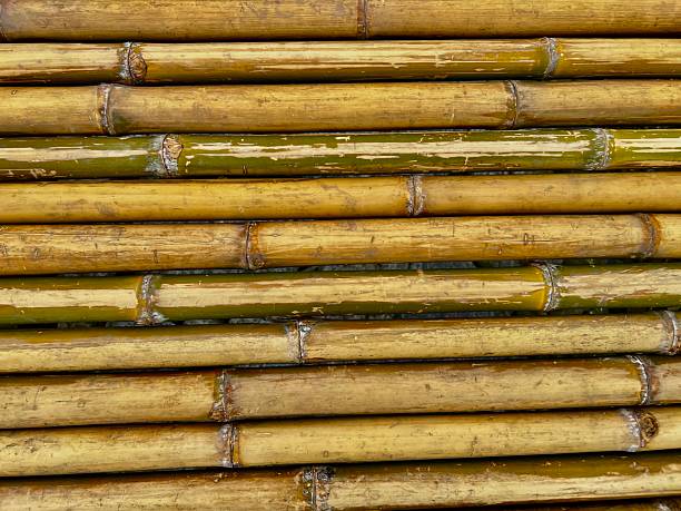 High-resolution close-up of stacked bamboo poles creating a natural wall texture, perfect for backgrounds, design, or eco-friendly construction references.