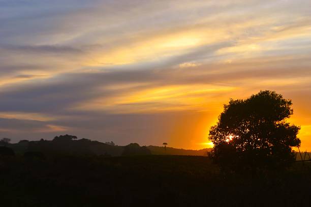 istock Sunset in the Farm 2229158909