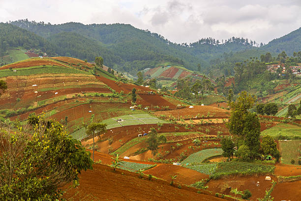 istock Terraced Farmland Above City Hillside View 2229159297